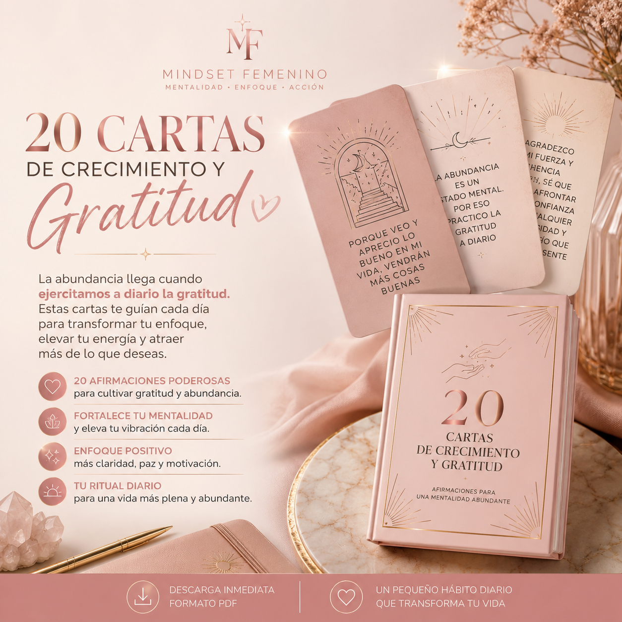 Cartas de Agradecimiento